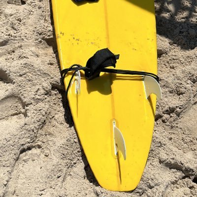 bleek00's profile picture. Israeli, Jewish and Zionist