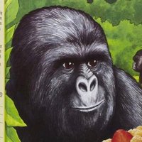 BiggorillaCS (@biggorillacs) 's Twitter Profile