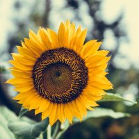 Vishal kumar |Tabi 🟧 | 🧡 Ordzaar| 🦭/acc (@base1eth) 's Twitter Profile