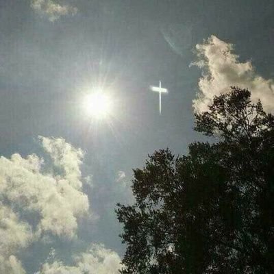 rabinaya1012's profile picture. God's Grace ❤️