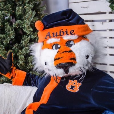 Spreading Orange & Blue Holiday Cheer! *Not affiliated with Auburn University or Aubie the Tiger. ☃️🎅