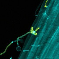 green mechanobiology (@greenmechanobio) 's Twitter Profile Photo green mechanobiology (@greenmechanobio) 's Twitter Profile Photo