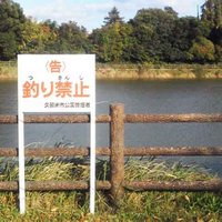 さなだ虫/今夜は変態飛行 (@toku1106) 's Twitter Profile