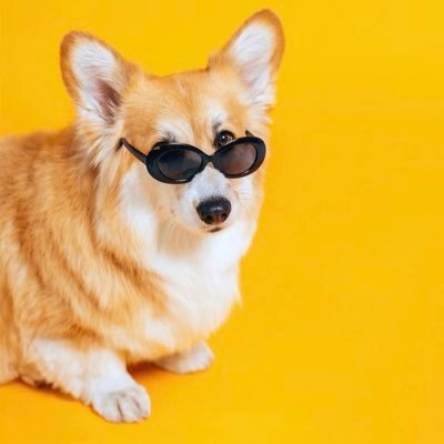 yoshiboki's profile picture. 