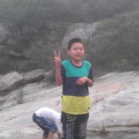百万吨铁拳 (@guo_bwdtq) Twitter profile photo