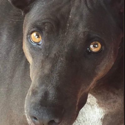 wilenmarie's profile picture. ben voor waarheid, covid zag ik vanaf dag 1 als een scam. Heb geen vertrouwen meer zowel de politiek als de MSM. Gelukkig al 10 jaar weg uit Nederland.