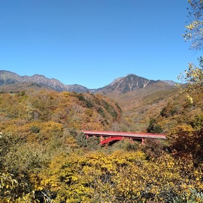 2018年登山を始めるが子育て奮闘中のため現在は休止🫠
八ヶ岳の麓に移住⛰️
田舎暮らし、海、山、魚釣、狩猟、登山、料理、DIY、薪ストーブ、SUVクロカン、飛行機が好き✨
無言フォロー失礼します😁