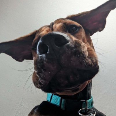 KaileyRenee0's profile picture. 