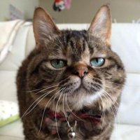 ero_mirusenn (@hea_pindayo) 's Twitter Profile