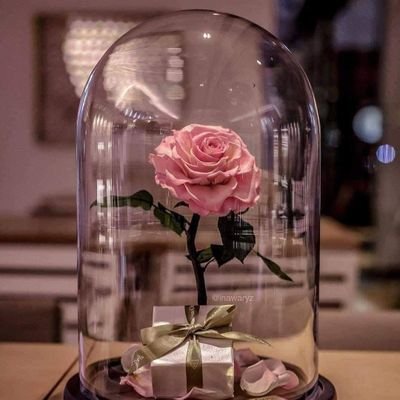 Mohamme80697259's profile picture. 