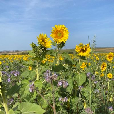 CaroBD86240's profile picture. ❤️🇮🇱