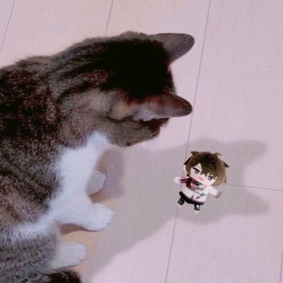 umepipi_0408's profile picture. 🌈🕒￤🤝￤2025.3.14.Fri 𝑾𝒉𝒊𝒕𝒆 𝑫𝒂𝒚