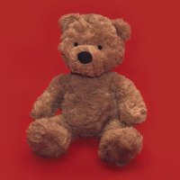 KAI_RšVER⨠(@kaibear_1485) 's Twitter Profile