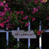 بنت عبدالله ❤️ (@hijo_abdullah) 's Twitter Profile