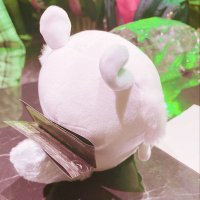 ૮ と ➡️ ま ა (@k_touma0313_) 's Twitter Profile