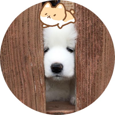 luvbaek9's profile picture. 백현이의 일기