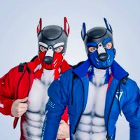 Hauptstadtpup (@hauptstadtpup) 's Twitter Profile