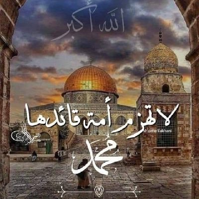slmlymny10's profile picture. سياسي