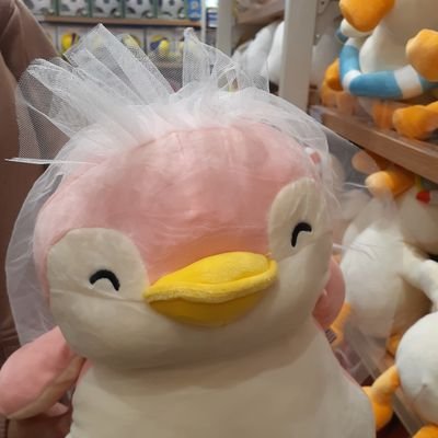 nyhwdi's profile picture. mau ngapain?