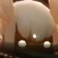 もつ・もつをさんのプロフィール画像