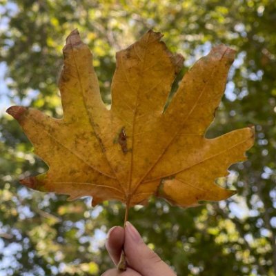 azzoworld's profile picture. Visionary 💫
A passionate writer. 📜