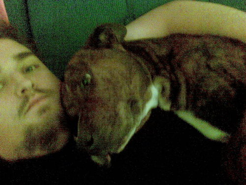 damo445's profile picture. 