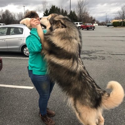 pandaiamwo's profile picture. 