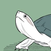 カメユ│亀と絵と漫画 (@kameyu28) 's Twitter Profile Photo