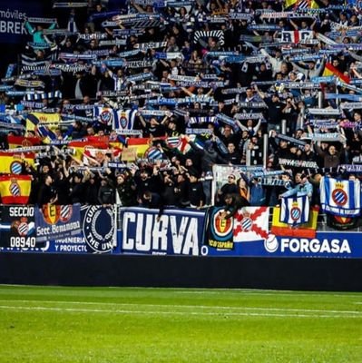 Raulesteban03's profile picture. 🐦