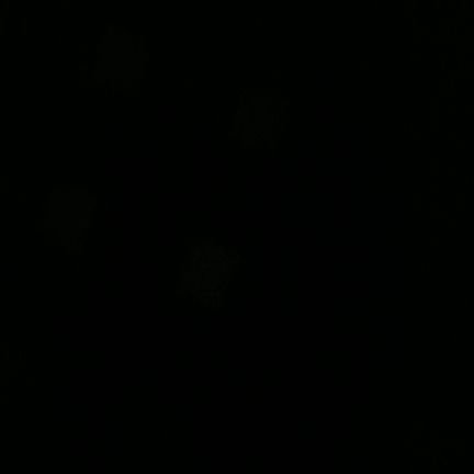 _Dark_devil_007's profile picture. 