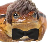 Charles, Gamer (@selrahc_remag) 's Twitter Profile Photo Charles, Gamer (@selrahc_remag) 's Twitter Profile Photo