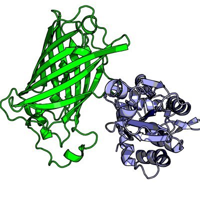 I make fluorescent indicators that dynamically monitor metabolites and signaling molecules in the cell.
Now @KULeuven, previously in @DKFZ and @VIBLifeSciences.