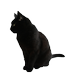 sensuraaaaaaaaaaaaaa (@sensura_san) Twitter profile photo sensuraaaaaaaaaaaaaa (@sensura_san) Twitter profile photo