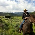 Mark van Huisseling (@mymvh) Twitter profile photo