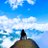 suliphuong's profile image