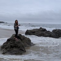 Liz K. (@koelecurator) 's Twitter Profile