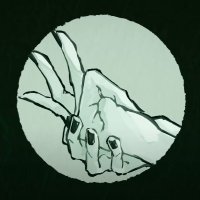 Gus (@gus6_0) 's Twitter Profile