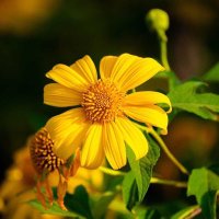 Rock (@bestate49761) 's Twitter Profile