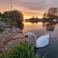 SaveOurLandsandRiver (@savehamlands) 's Twitter Profile Photo SaveOurLandsandRiver (@savehamlands) 's Twitter Profile Photo