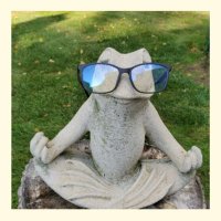 Meditating Frog(@ConnectUnLinked) 's Twitter Profile Photo