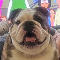 Beau Baldwin (@coachbbaldwin) 's Twitter Profile
