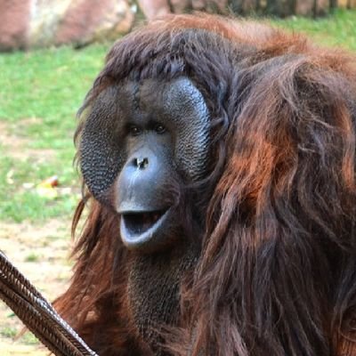 9Itsricky's profile picture.