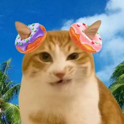 麦咪喵喵さんのプロフィール画像