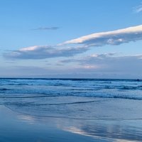 PRESENT (@present_science) 's Twitter Profile