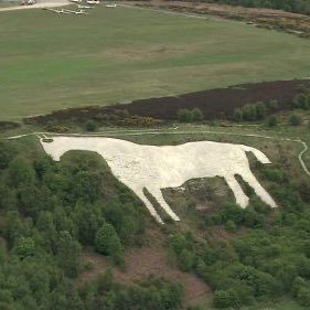 cabbageist's profile picture. constantly upset | anti-capitalist | free 🇵🇸🇸🇩🇨🇩