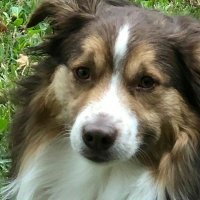 JetProof (@sandman30624) 's Twitter Profile Photo JetProof (@sandman30624) 's Twitter Profile Photo
