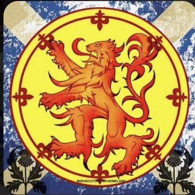 ScotlandsUnico1 Profile Picture
