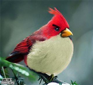 sijunj's profile picture. 