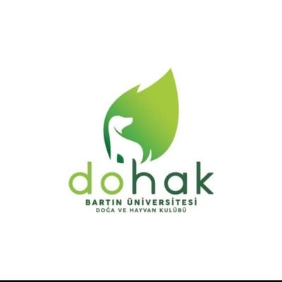 DOHAKbaru Profile Picture