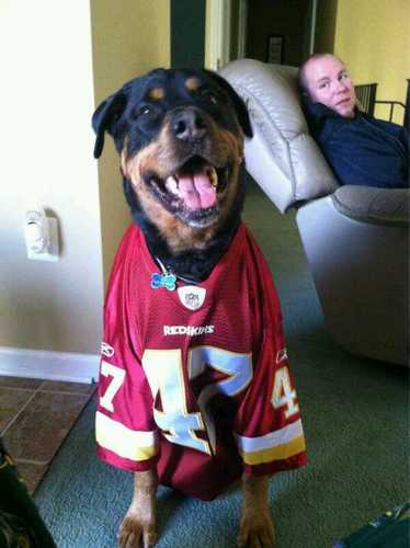 pro budlight drinker! diehard skins n caps fan!